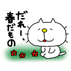 Michinoku Cat SPRING 2