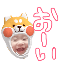 akari_20190201184256