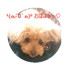 Kuu_20190203150121