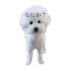 My name is TOHU