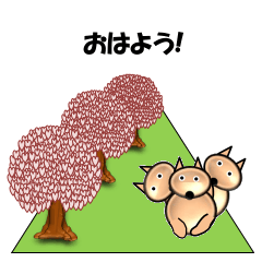 Cherry blossom tree-Three dogs