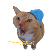 xyz_20190203231601
