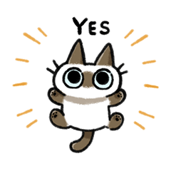 yurutto Siamese cat