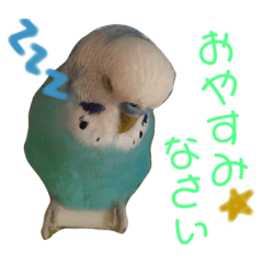 PCJK