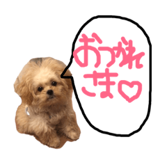 saori_20190203031124