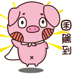 Coco Pig -Name stickers -JYUN