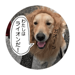 ruita_20190204173310