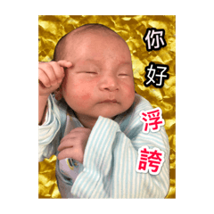 小隊長的表情包1️⃣