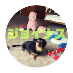 お喋りミミすけ