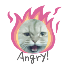 呼嚕獸