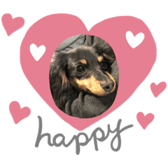 小豆と花梨 Line スタンプ Line Store