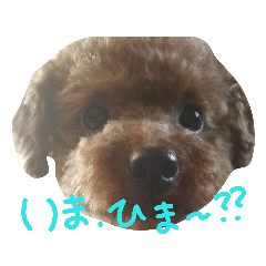chococo_20190205145911