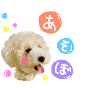 momen's stickers