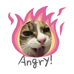 akiko_20190205224135