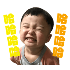 毛毛表情包
