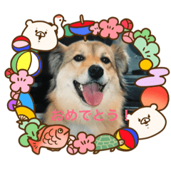 hanahana5