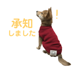 komasans_20190204053705