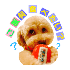 sumire_20190202112943