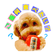 sumire_20190202112943