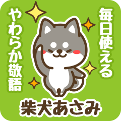 Petit Black Shiba Asami (Honorific)