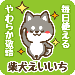 Petit Black Shiba Eiichi (Honorific)