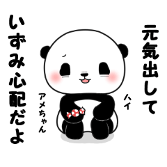 Izumi of panda