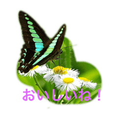 yuto_20190201185012