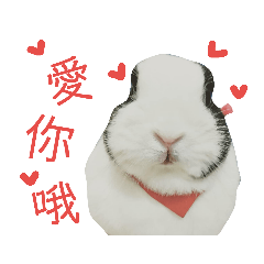 兔兔寶貝--椪糖