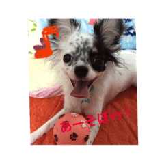 Heart Stamp Ranchan