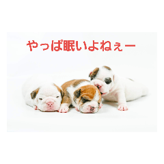 miyuki_20190207214323