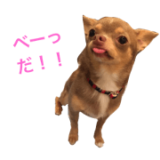 yuuuuuuuco_20190205230709