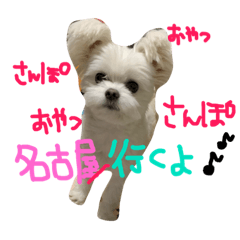 Riku_20190203001347