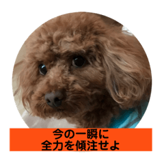 smile_20190205150739