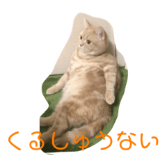bb_20190125220318