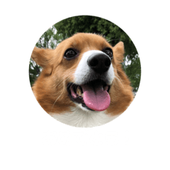 Hana_20190202085240