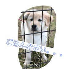 mayu_20190129