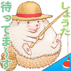 Shouta dedicated hedgehog dumpling