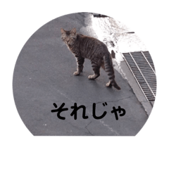 fujiyama1