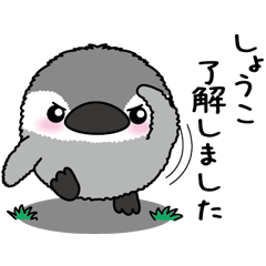 Round penguin 018