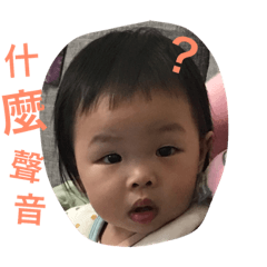 Doris的日常