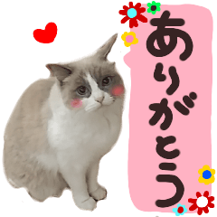 cat sticker photo fukidashi