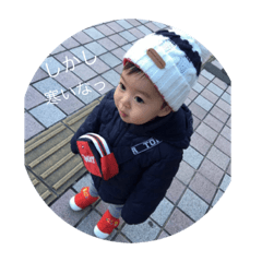 panda_20190119185937