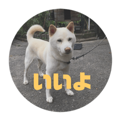 yuina_20190117102448