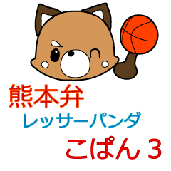 Kumamoto dialect lesser panda 3