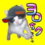 nekomono 7episodes