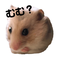 今日のぷんちゃん Line スタンプ Line Store 今日のぷんちゃん Line スタンプ Line Store