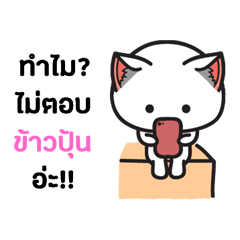 KhaawBpoon - The cat sticker