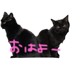 miii_20190128101319