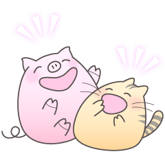 cat and pig get along well