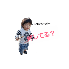 nobo_20190207192747